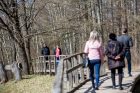 Kadagių slėnis Kadagių slėnis