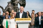 V. Ušackas kandidatuos į prezidento postą V. Ušackas kandidatuos į prezidento postą