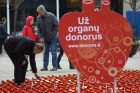 Žvakučių akcija organų donorams pagerbti Žvakučių akcija organų donorams pagerbti