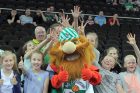 LKL ketvirtfinalis: „Žalgiris“ – „Nevėžis“ LKL ketvirtfinalis: „Žalgiris“ – „Nevėžis“
