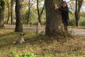 Svajonė: padėdama beglobiams šunims L.Pauliukevičiūtė tiki atperkanti bent mažą žmonių kaltės prieš gyvūnus dalį.